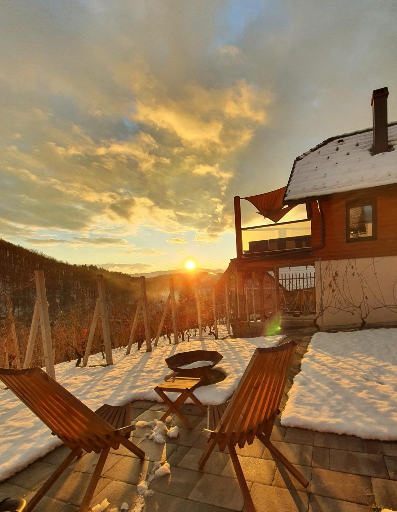 Vineyard Cottage Matej Trebnje Exterior photo