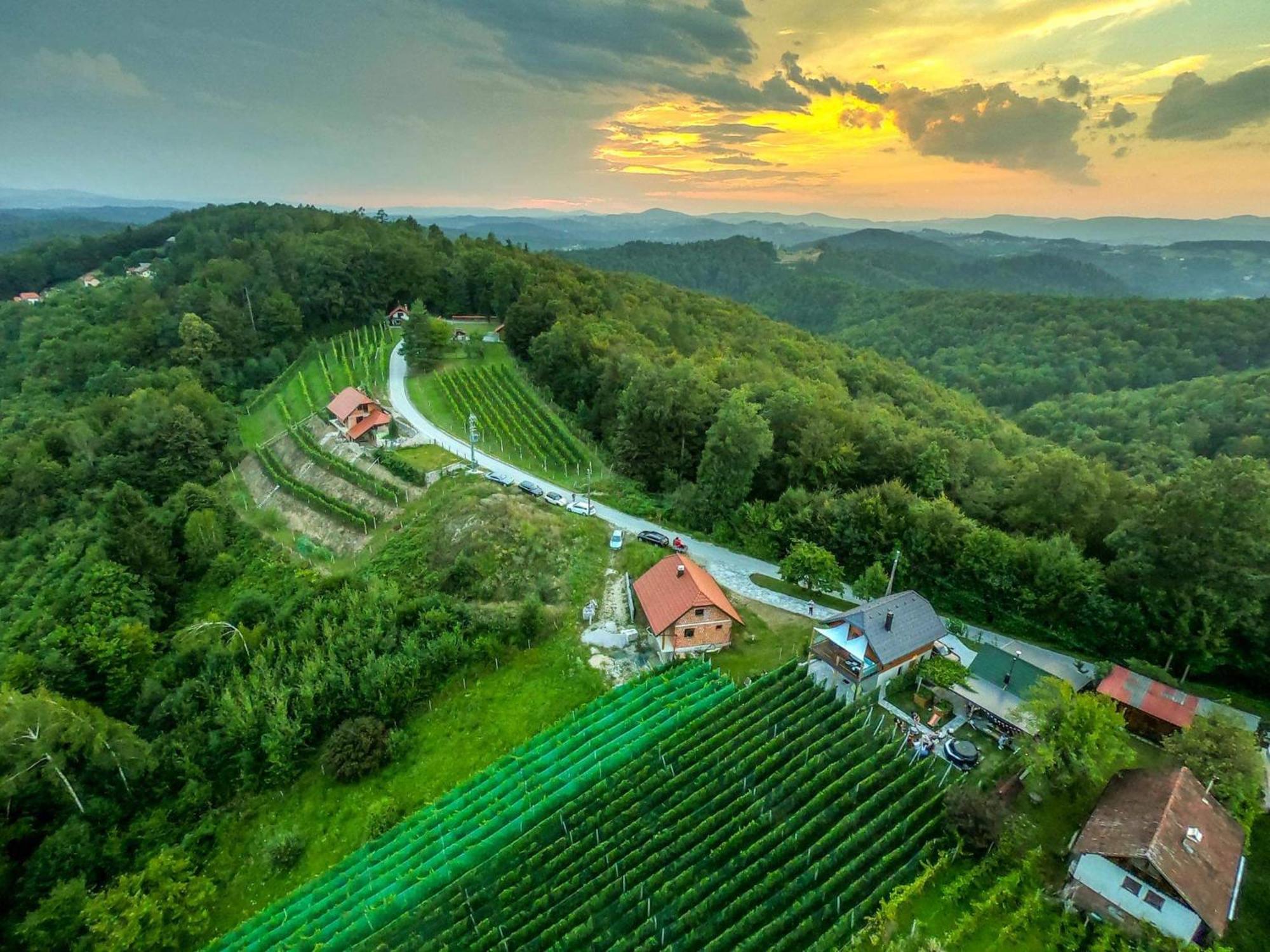 Vineyard Cottage Matej Trebnje Exterior photo